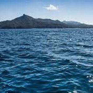 Meet your Posher, Isabella